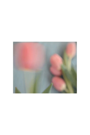 Silk Chiffon Scarf - Tulips