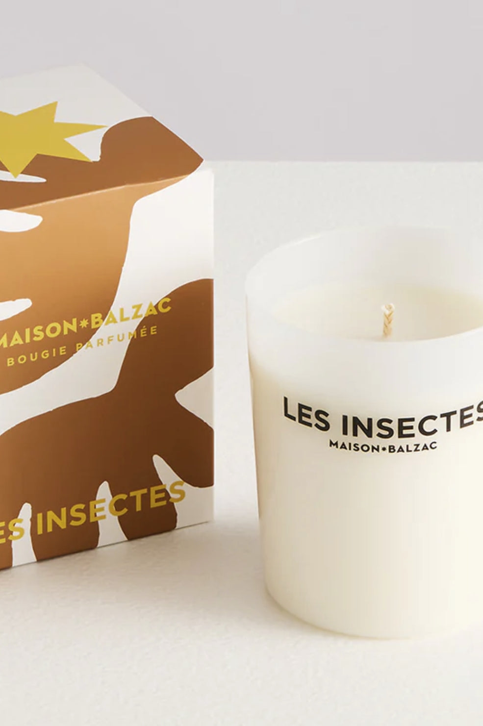 Les Insectes Large Candle