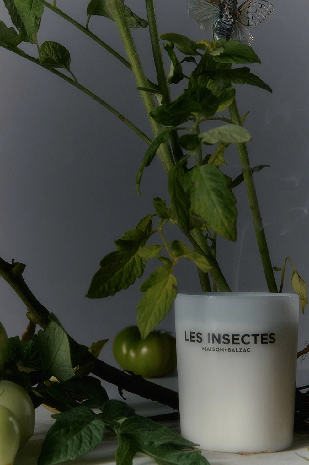 Les Insectes Large Candle