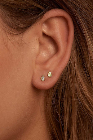 Illuminate Stud Earrings - Gold